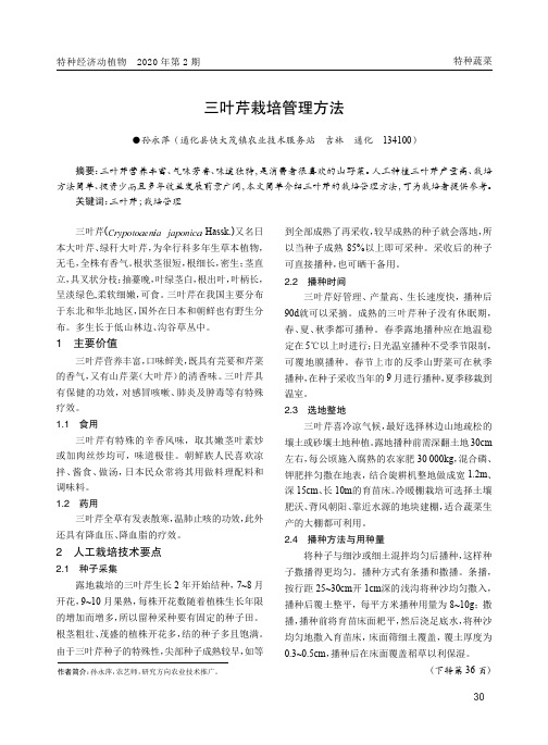 三叶芹栽培管理方法