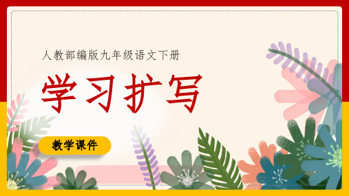 初中语文部编版九年级下册《习作一:学习扩写》课件(完美版)