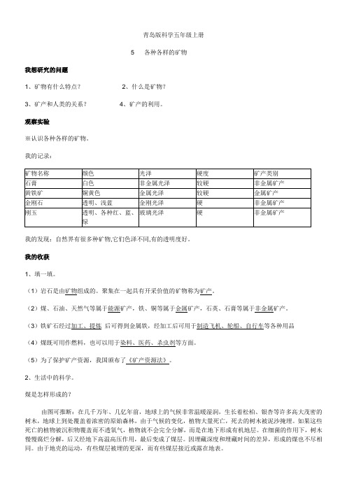 小学五年级科学上册基础训练答案