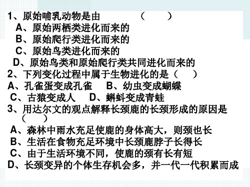 2021-2022北师大版八年级生物下册课件：21.3人类的起源与进化 (共63张PPT)