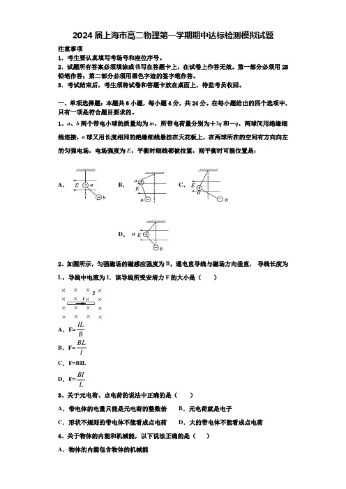 2024届上海市高二物理第一学期期中达标检测模拟试题含解析