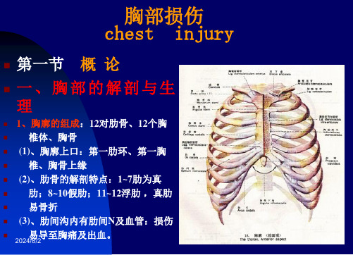 胸部损伤PPT【74页】