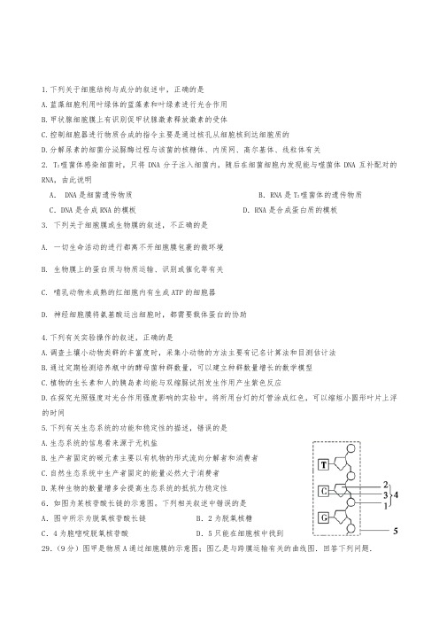 四川省棠湖中学2018-2019学年高二下学期期末模拟生物试题