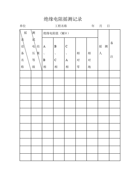 绝缘电阻摇测记录