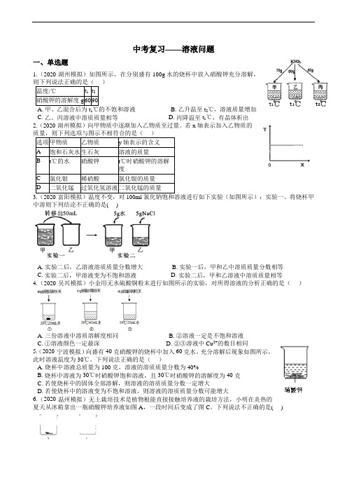 2020年浙江中考复习——溶液问题