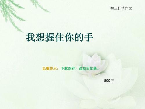 初三抒情作文《我想握住你的手》800字(总12页PPT)