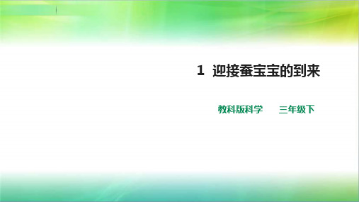 教科版小学科学新版三年级下册科学教第二单元第1课  《迎接蚕宝宝的到来》课件