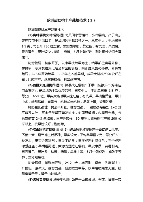 欧洲甜樱桃丰产栽培技术（3）