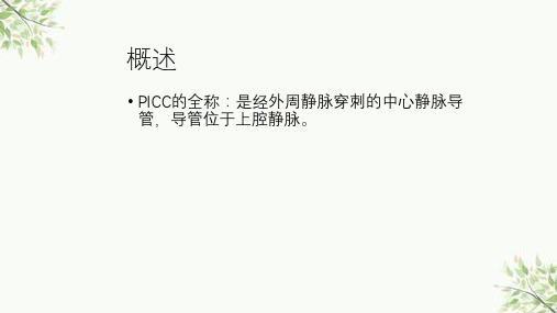 PICC标准操作及维护ppt课件