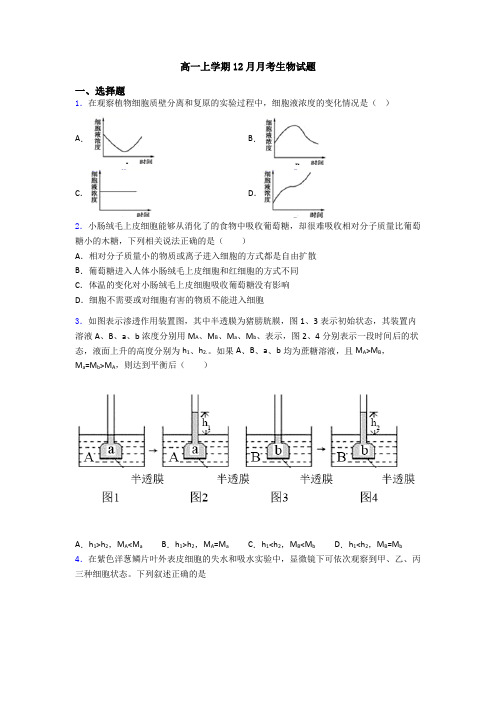 高一上学期12月月考生物试题