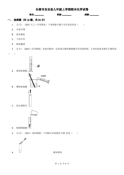 长春市农安县九年级上学期期末化学试卷