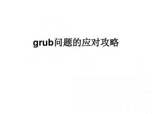 grub问题的应对攻略