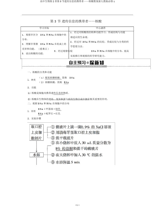 高中生物第2章第3节遗传信息的携带者——核酸教案新人教版必修1