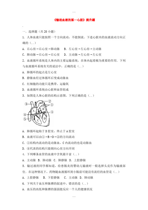 人教版生物学科七年级生物下册第四单元第四章第三节输送血液的泵_心脏提升题