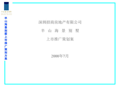 半山海景别墅上市推广策划案