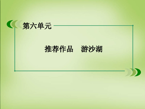 高中语文古诗文选修第六单元游沙湖巩固练习全解