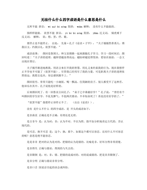 无法什么什么四字成语是什么意思是什么