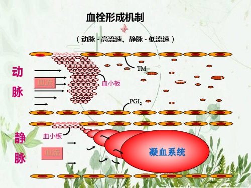 SAP财务会计培训资料50页PPT