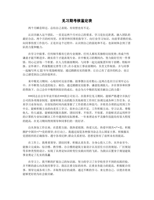 见习期考核鉴定表