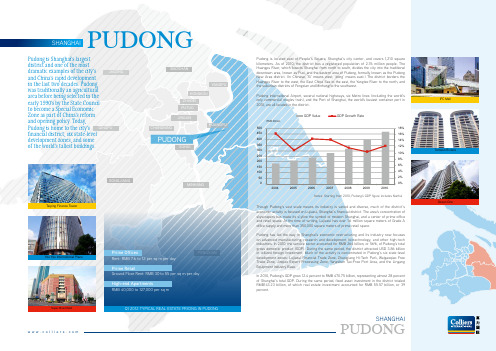 Pudong District Profile浦东新区中英文概况