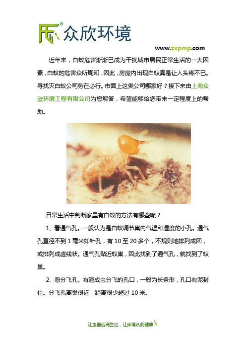 灭白蚁公司哪家好