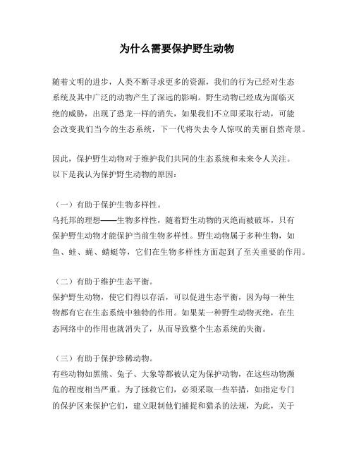 为什么需要保护野生动物