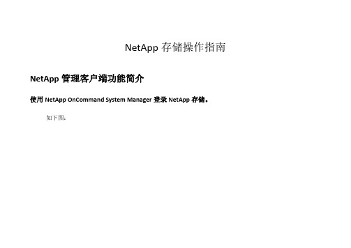 NetApp存储操作指南汇总