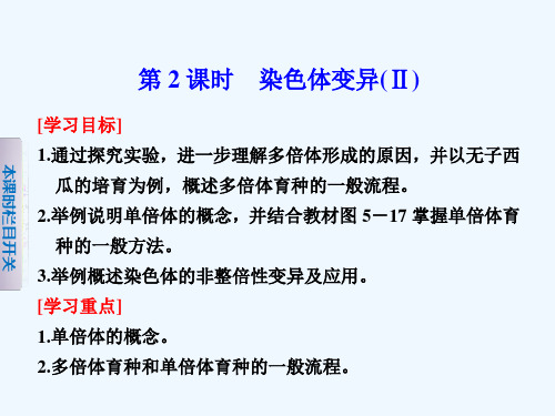 高一生物北师大版必修2课件：5.3.2染色体变异(Ⅱ)