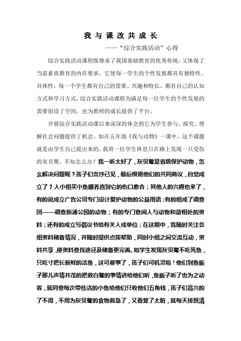 我与综合实践活动共成长