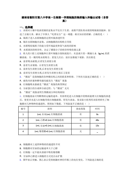 湖南省衡阳市第八中学高一生物第一学期细胞的物质输入和输出试卷(含答案)