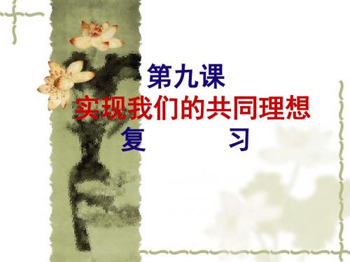 人教版九年级政治全册课件：9实现我们的共同理想 复习