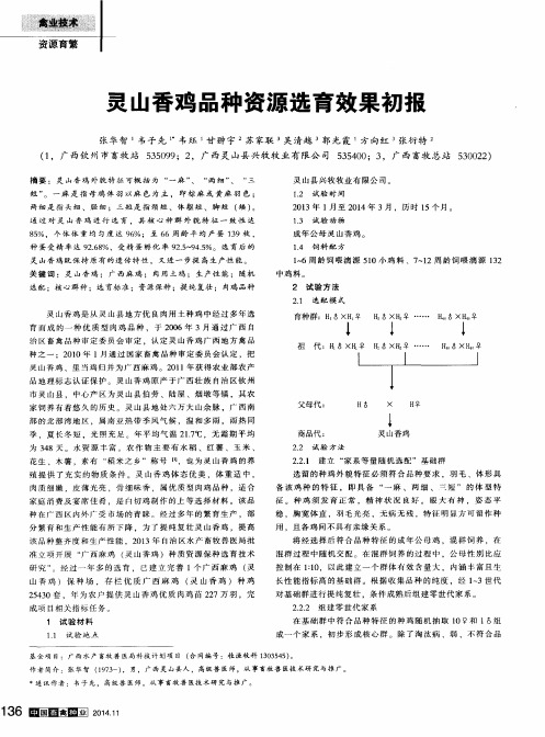 灵山香鸡品种资源选育效果初报