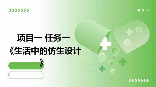 浙教版九年级下册劳动技术 项目一 任务一《生活中的仿生设计》课件