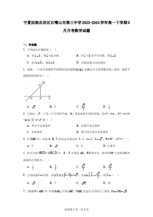 宁夏回族自治区石嘴山市第三中学2023-2024学年高一下学期5月月考数学试题