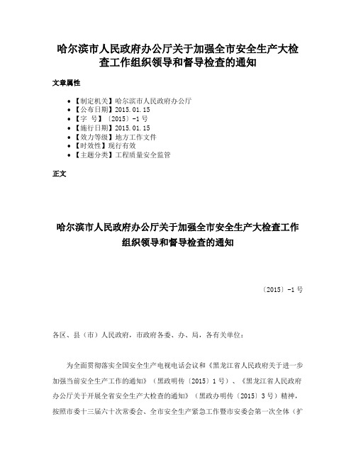 哈尔滨市人民政府办公厅关于加强全市安全生产大检查工作组织领导和督导检查的通知