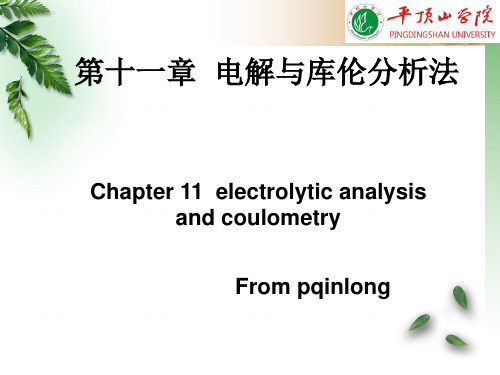 11第十一章 电解与库仑分析法