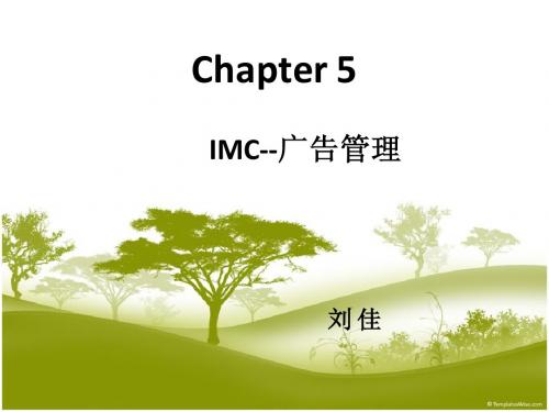 IMC 整合营销传播 五步流程——2