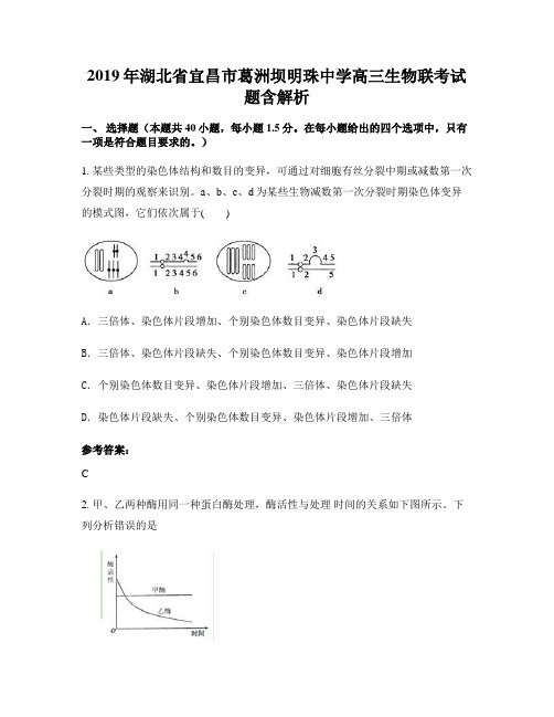 2019年湖北省宜昌市葛洲坝明珠中学高三生物联考试题含解析