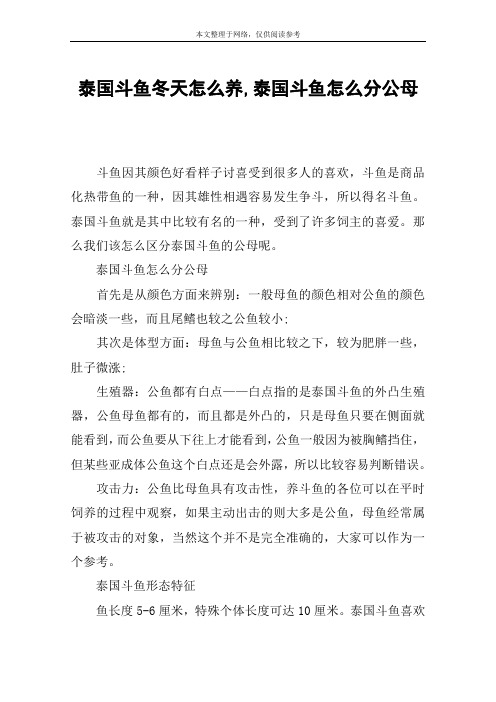 泰国斗鱼冬天怎么养,泰国斗鱼怎么分公母
