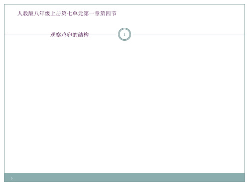 观察鸡卵的结构说课ppt课件