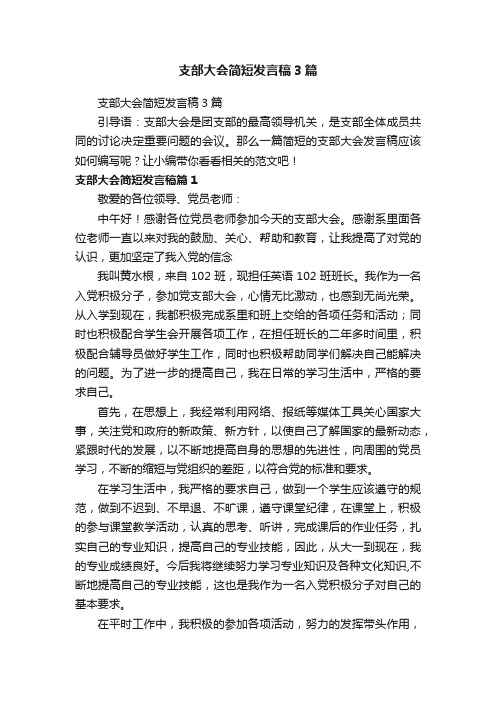 支部大会简短发言稿3篇