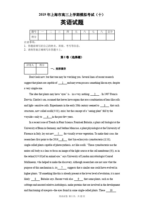 2019年上海市高三上学期模拟考试(十)英语试题及答案解析