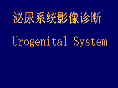 泌尿系统影像学表现详细全面