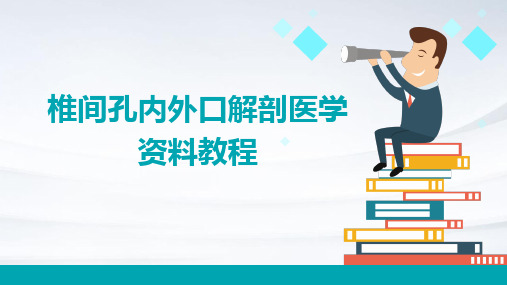 椎间孔内外口解剖医学资料教程