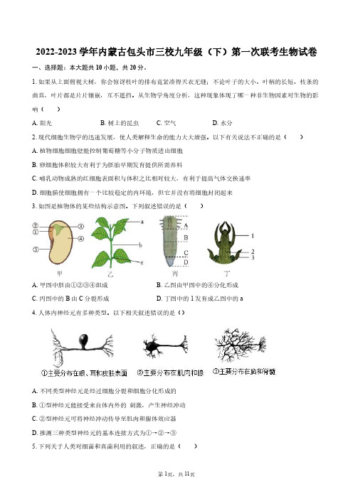 2023-2024学年内蒙古包头市三校九年级(下)第一次联考生物试卷+答案解析