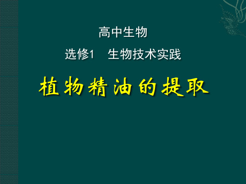 浙教版高中生物选修一实验7《植物精油的提取》课件(共38张PPT)