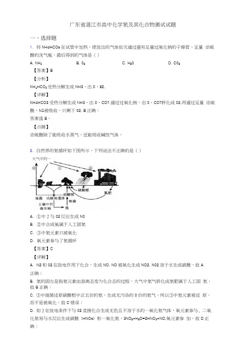 广东省湛江市高中化学氮及其化合物测试试题