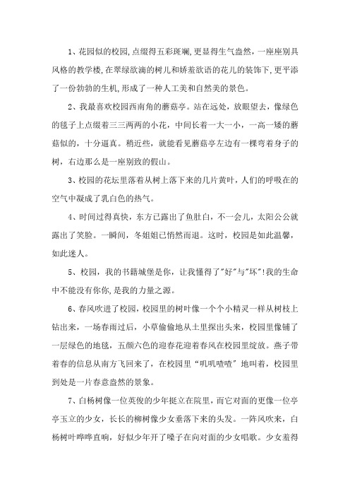 描述校园的句子精选