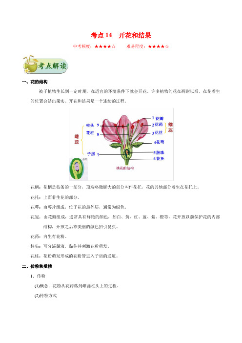 2021年初中生物中考知识点汇总 考点14 开花和结果