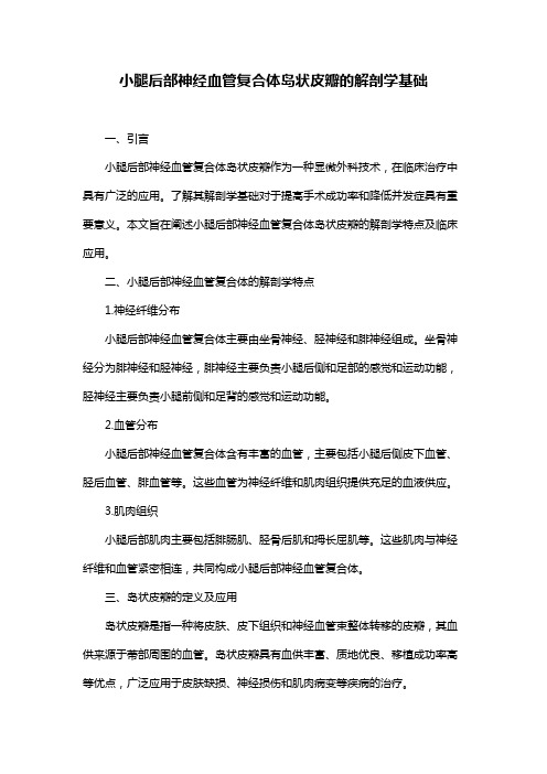 小腿后部神经血管复合体岛状皮瓣的解剖学基础